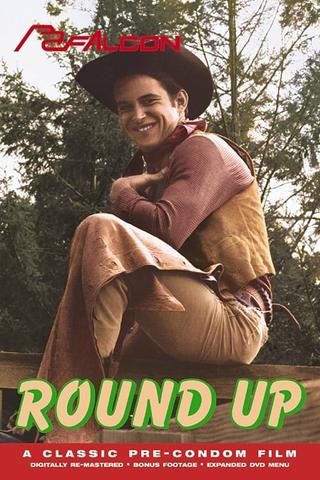 Round Up poster