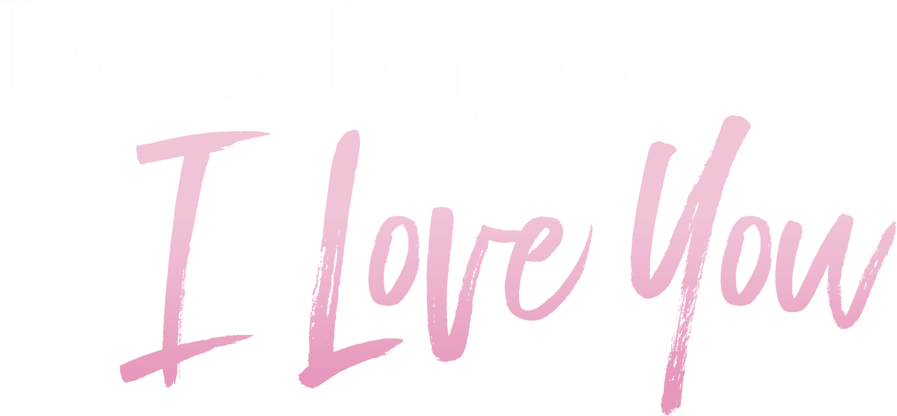 Don't Forget I Love You logo