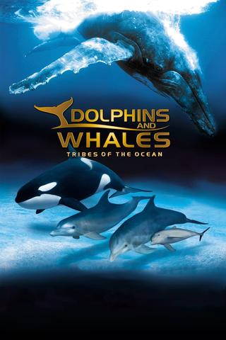 IMAX Dolphins and Whales: Tribes of the Ocean poster