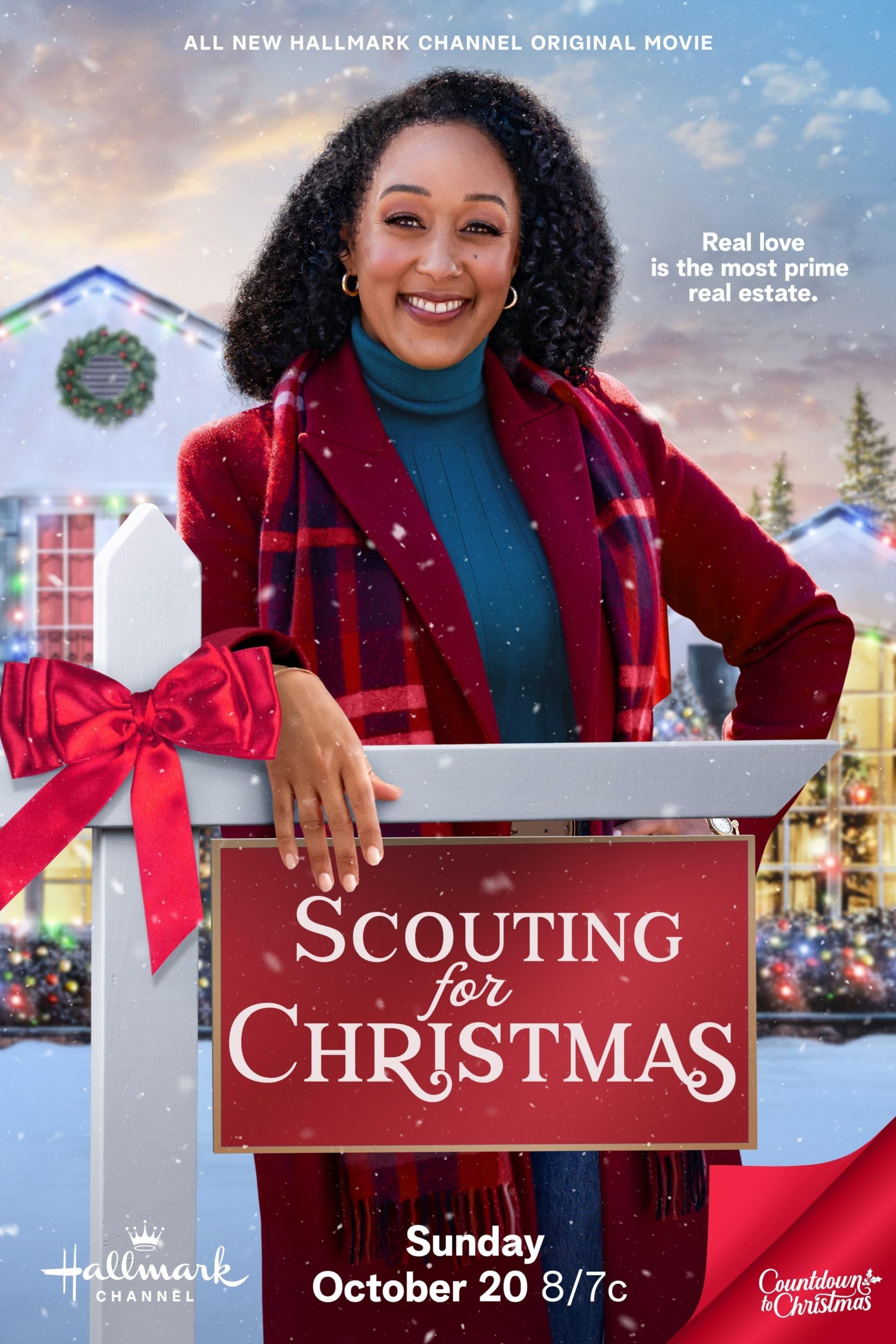 Scouting for Christmas poster