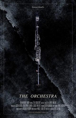 The Orchestra poster