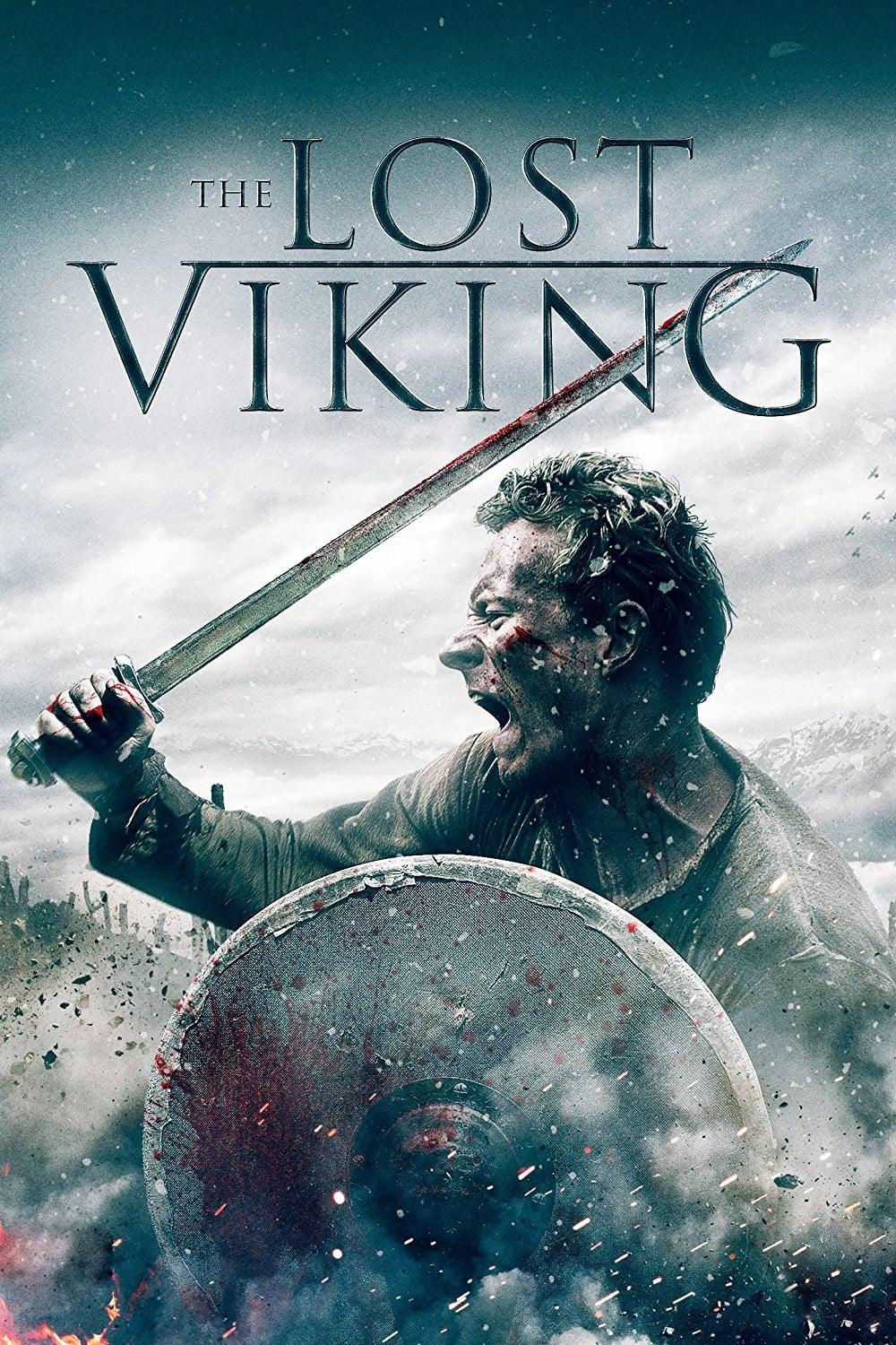 The Lost Viking poster