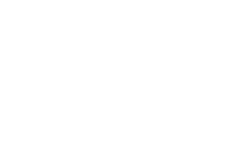 Born in Gaza logo
