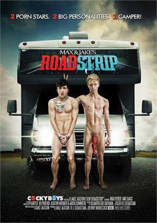 RoadStrip poster