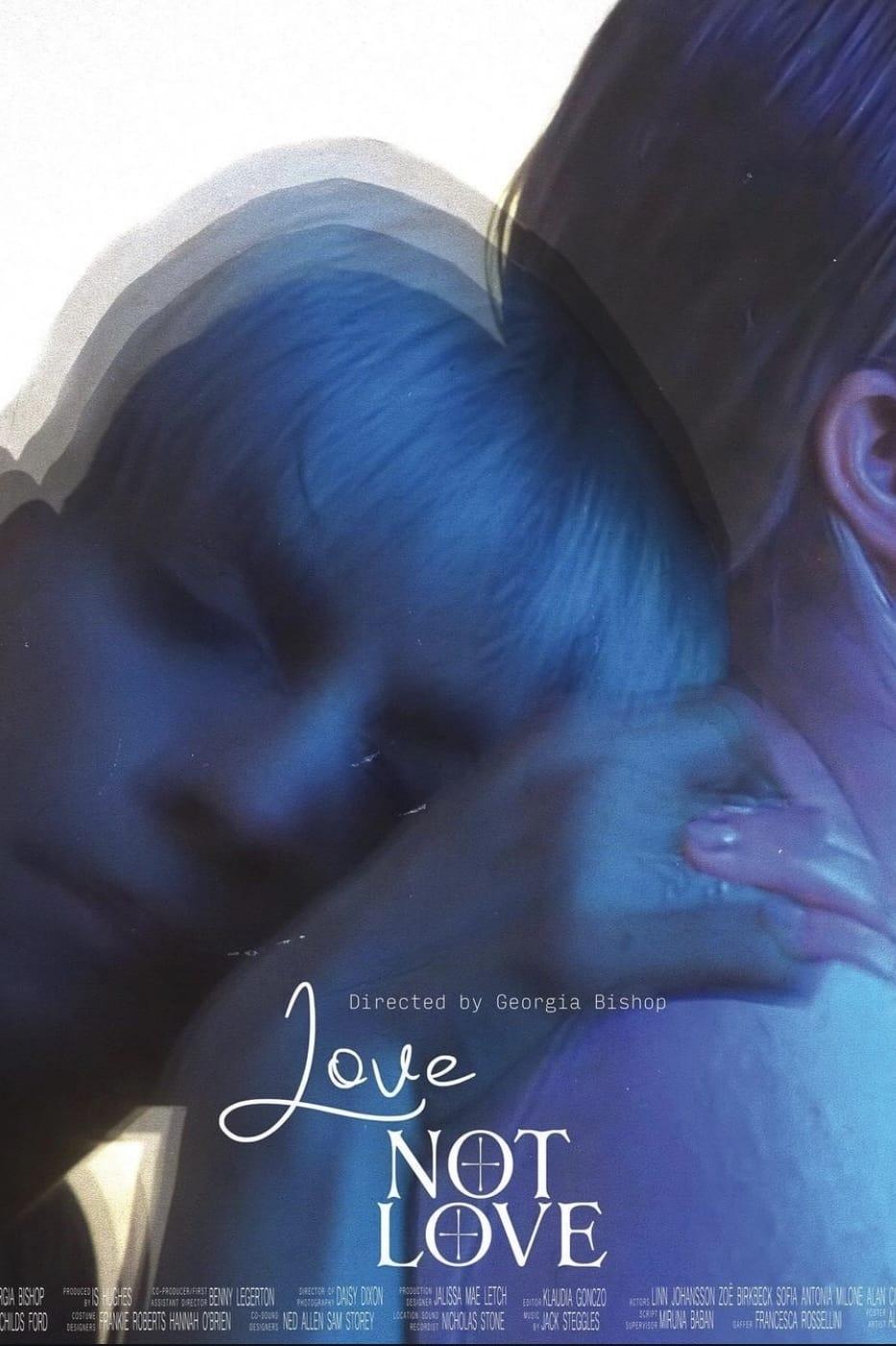 Love Not Love poster