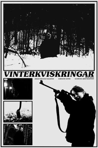 Vinterkviskringar poster