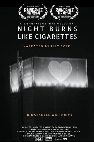 Night Burns Like Cigarettes poster