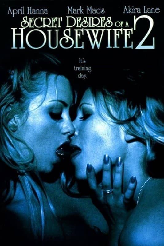 Secret Desires of a Housewife 2 poster