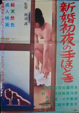 Shinkon shoya no tehodoki poster