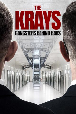 The Krays: Gangsters Behind Bars poster
