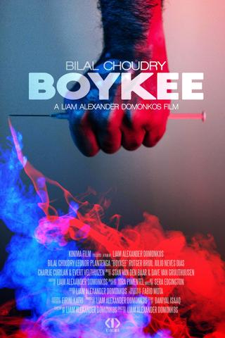 Boykee poster