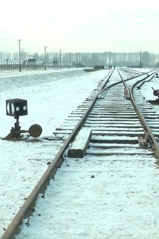 19 876 Steps in Auschwitz / Birkenau poster