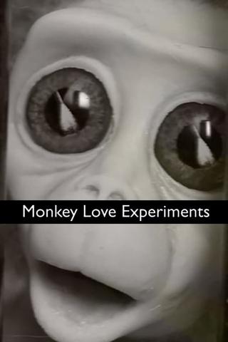 Monkey Love Experiments poster