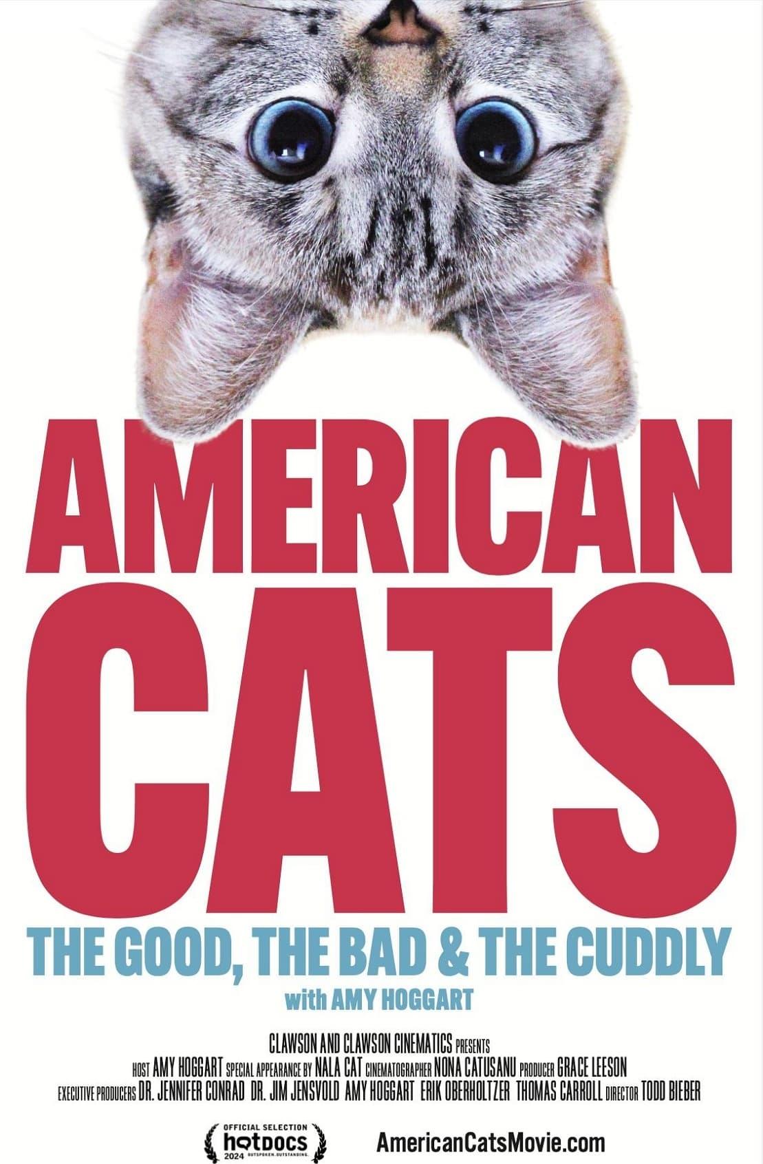 American Cats: The Good, the Bad, and the Cuddly poster