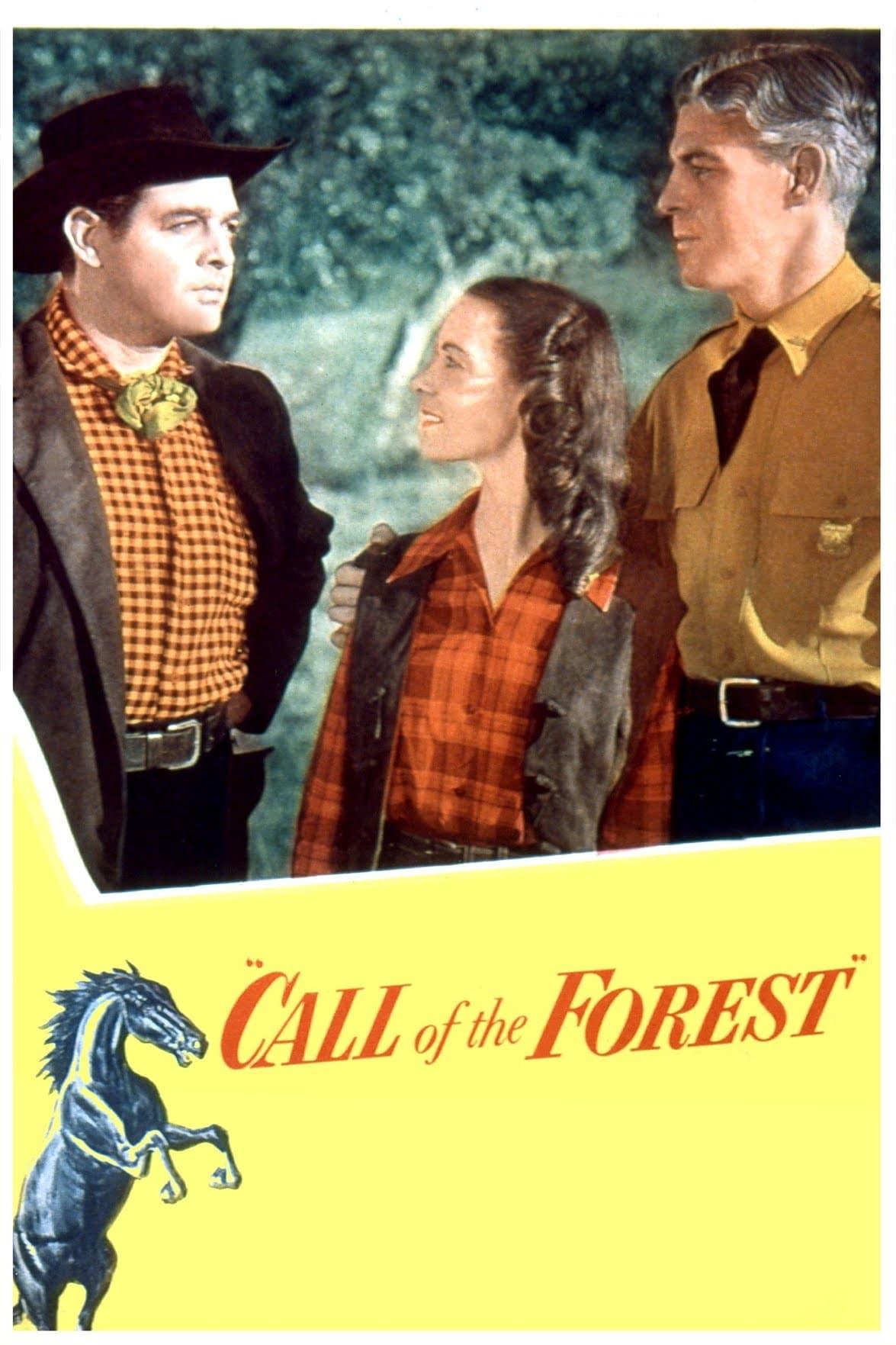 Call of the Forest poster
