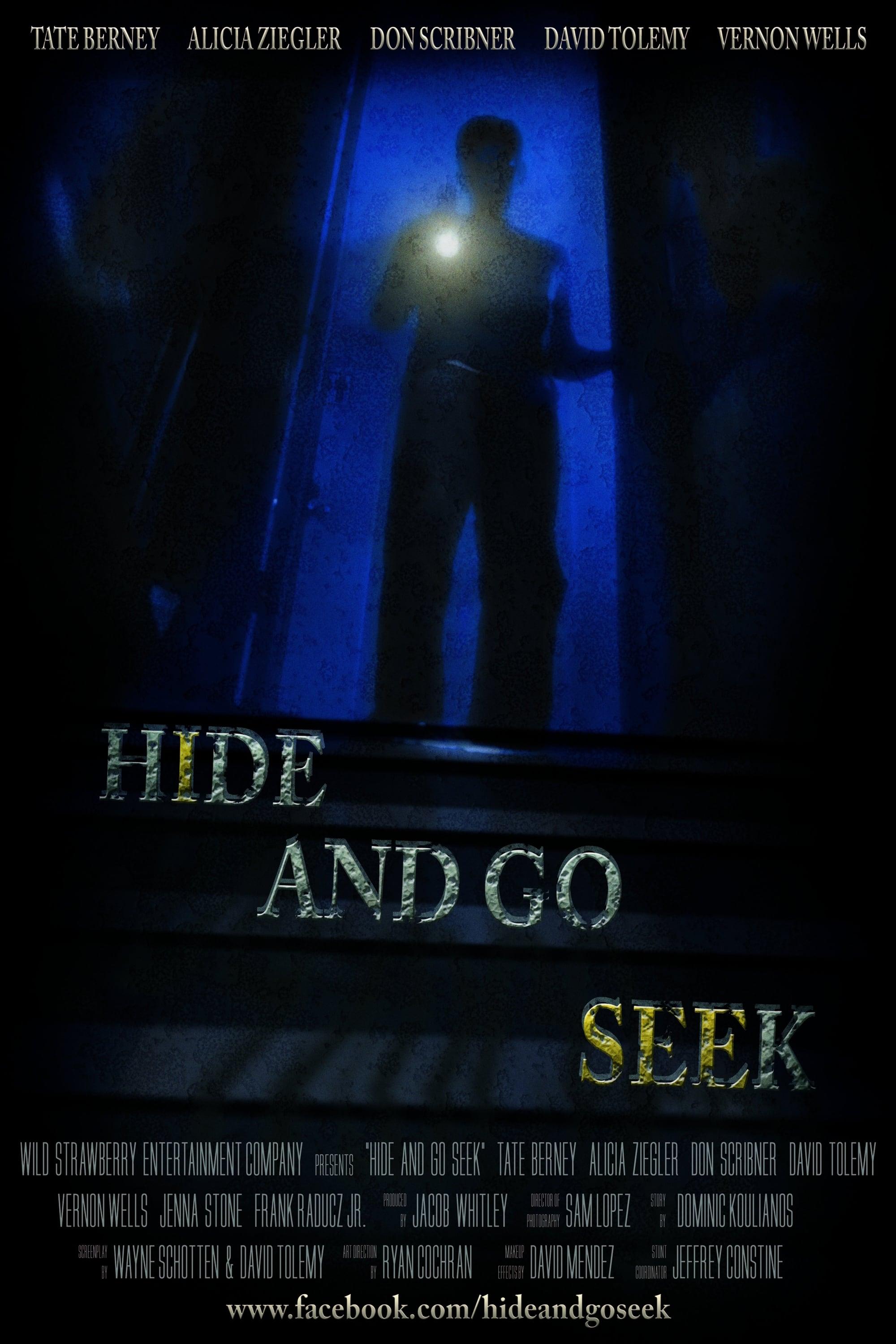 Hide and Go Seek poster