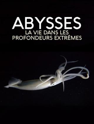 Extreme der Tiefsee - Abysses poster