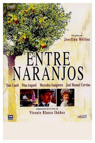 Entre naranjos poster