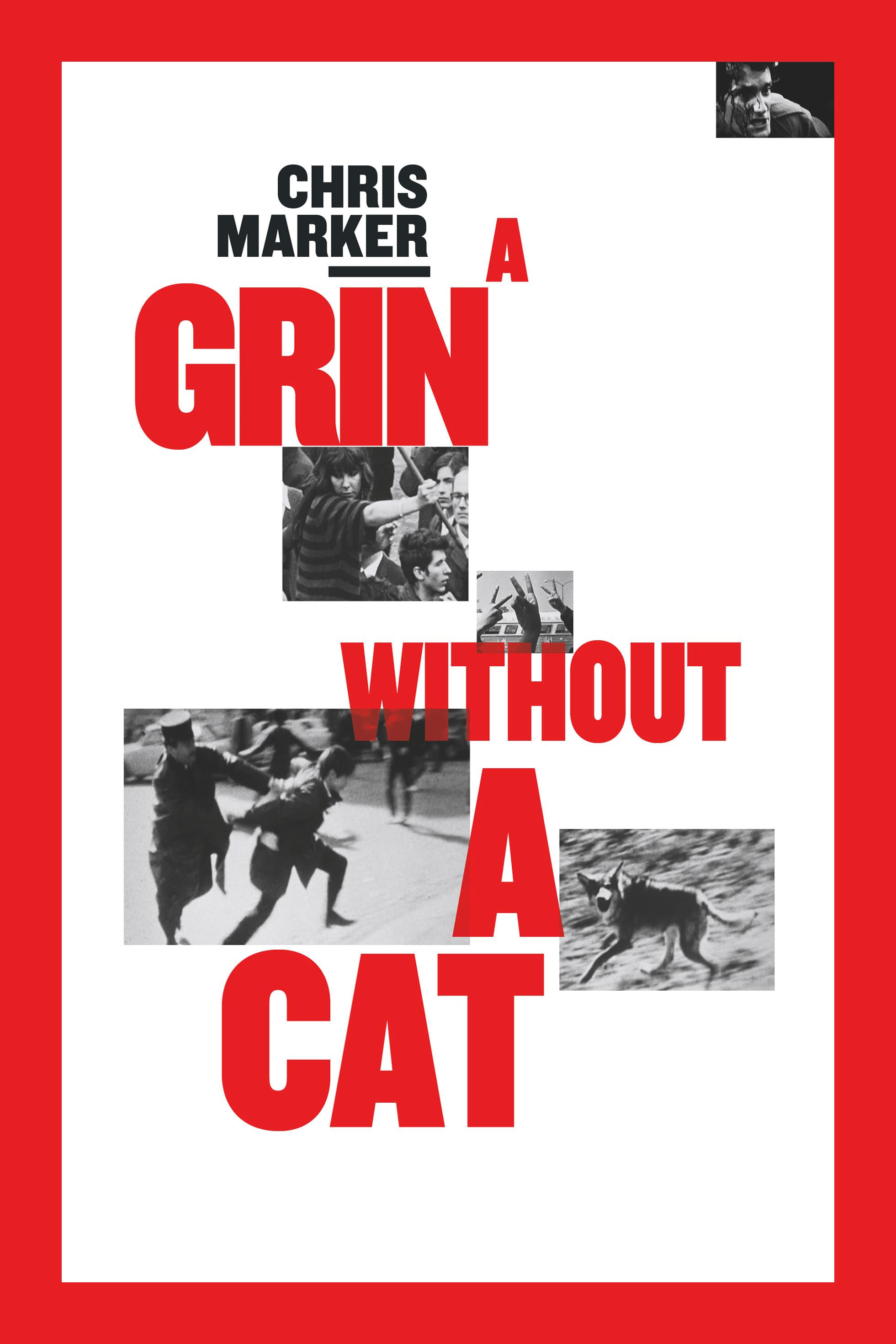 A Grin Without a Cat poster