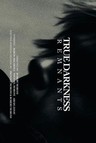 True Darkness: REMNANTS poster