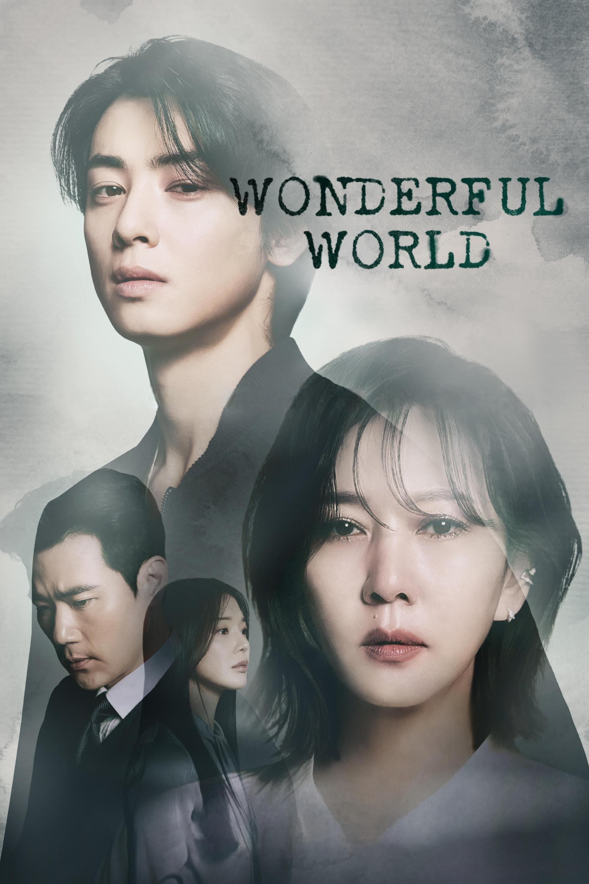Wonderful World poster