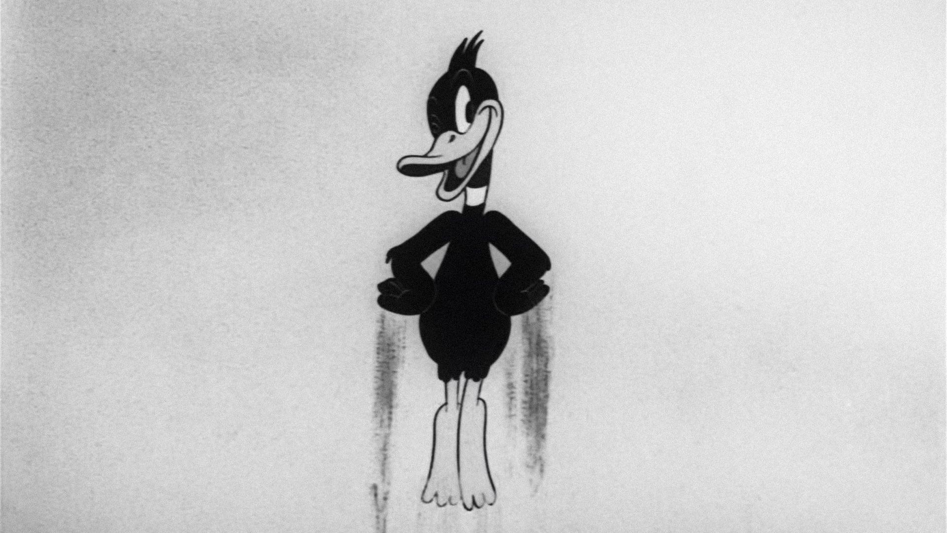 Daffy's Southern Exposure backdrop