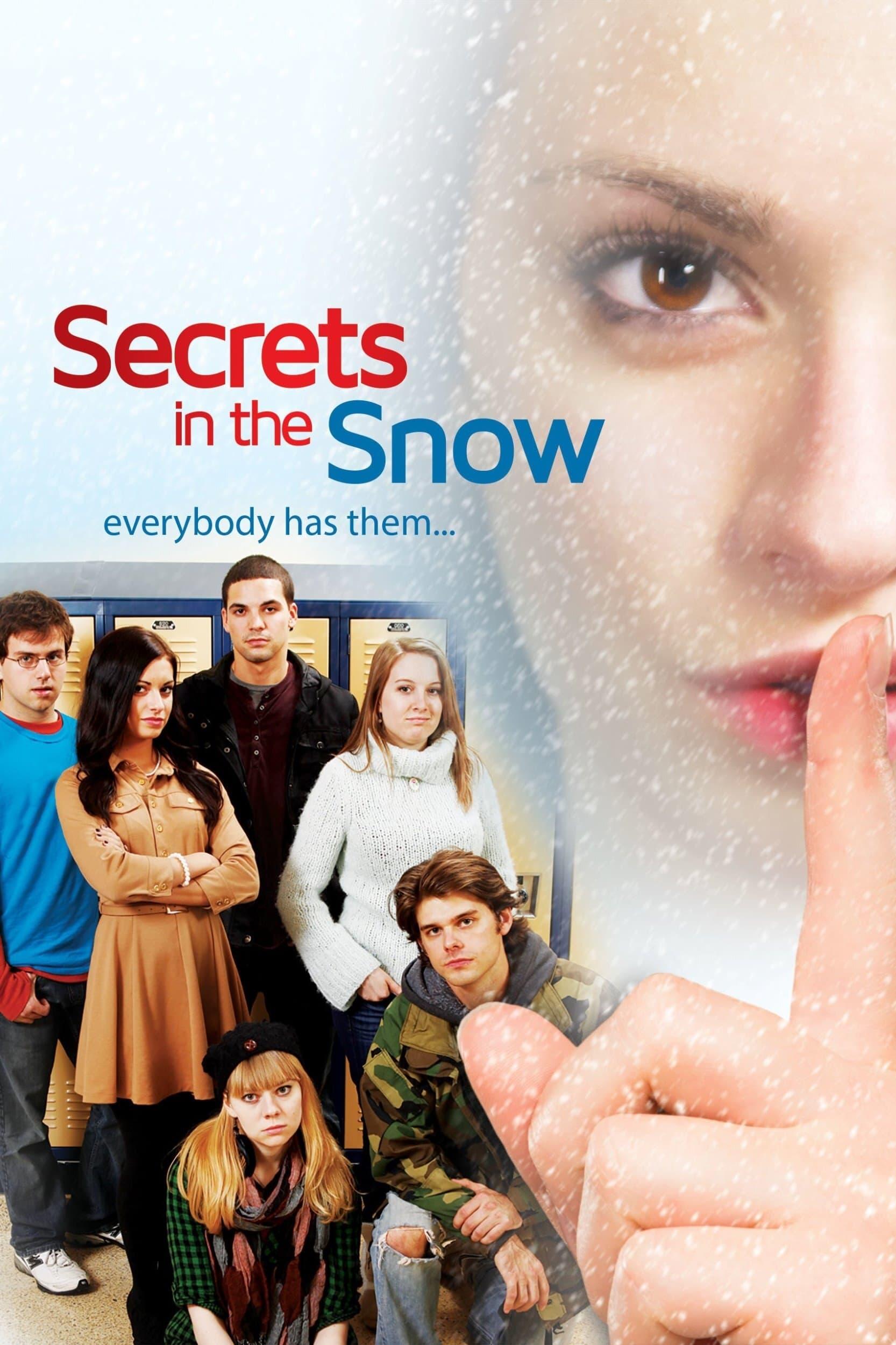 Secrets in the Snow poster