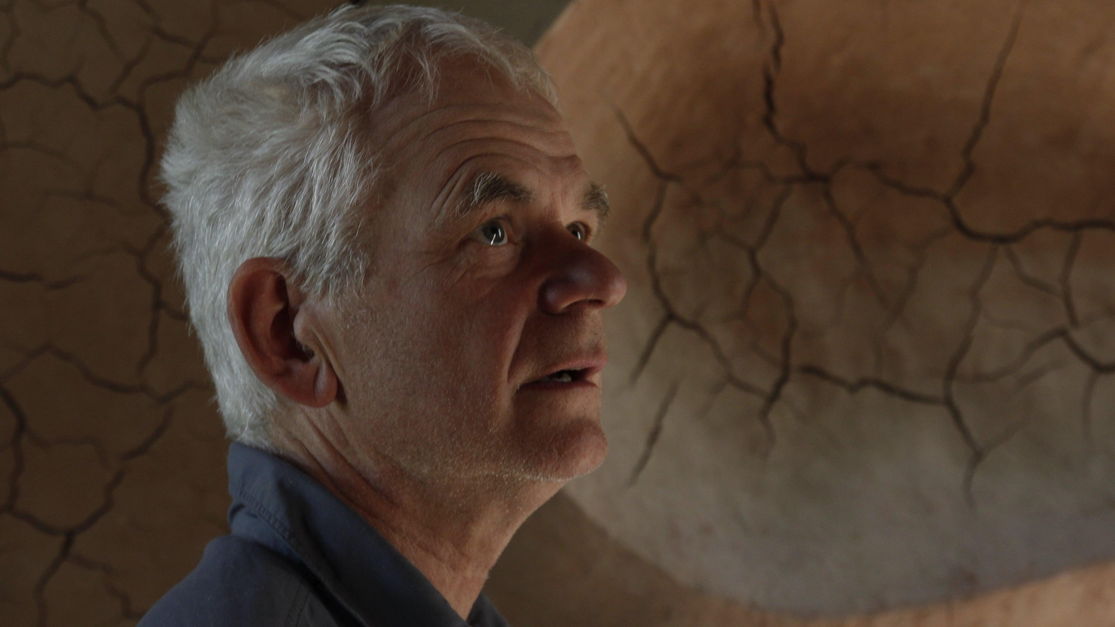 Leaning Into the Wind: Andy Goldsworthy backdrop