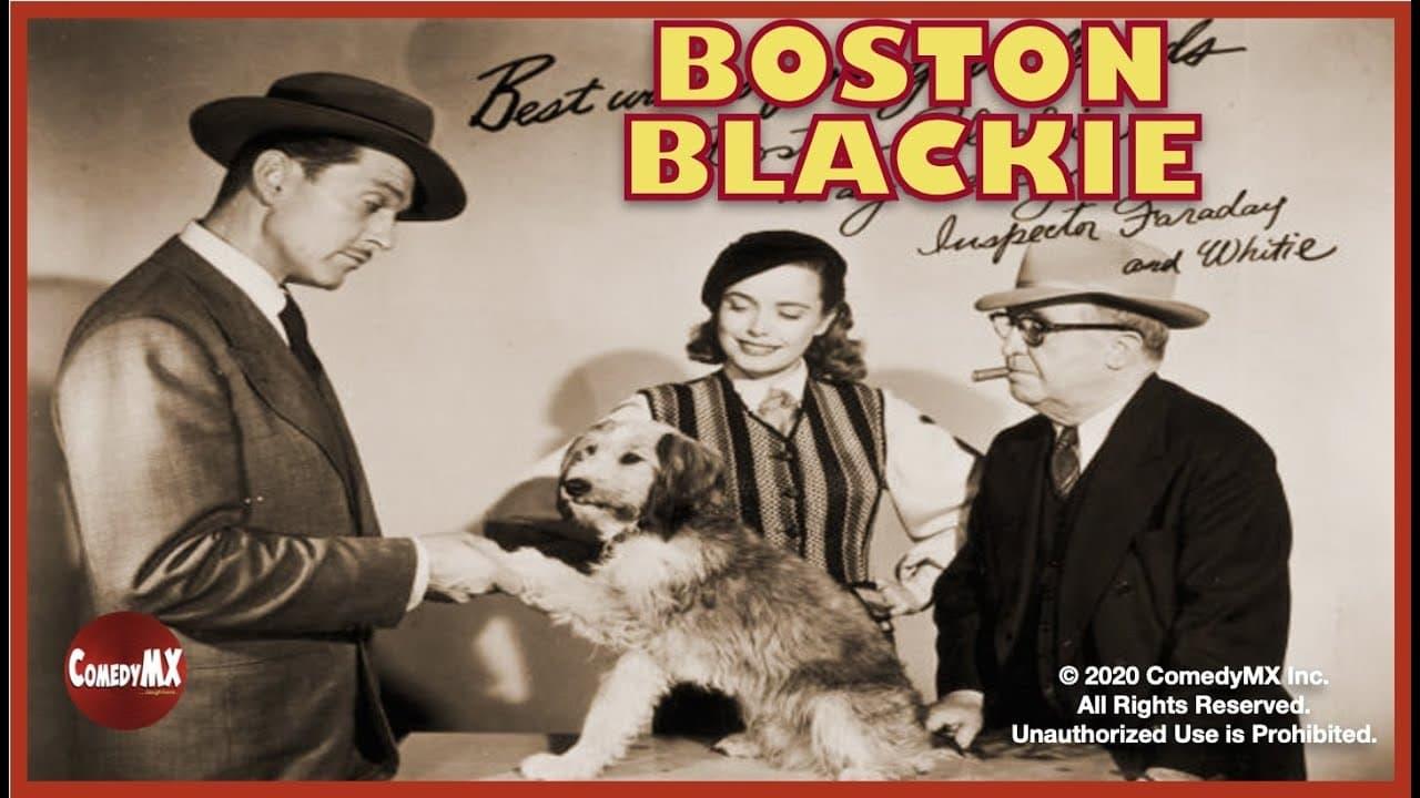 The Adventures of Boston Blackie backdrop