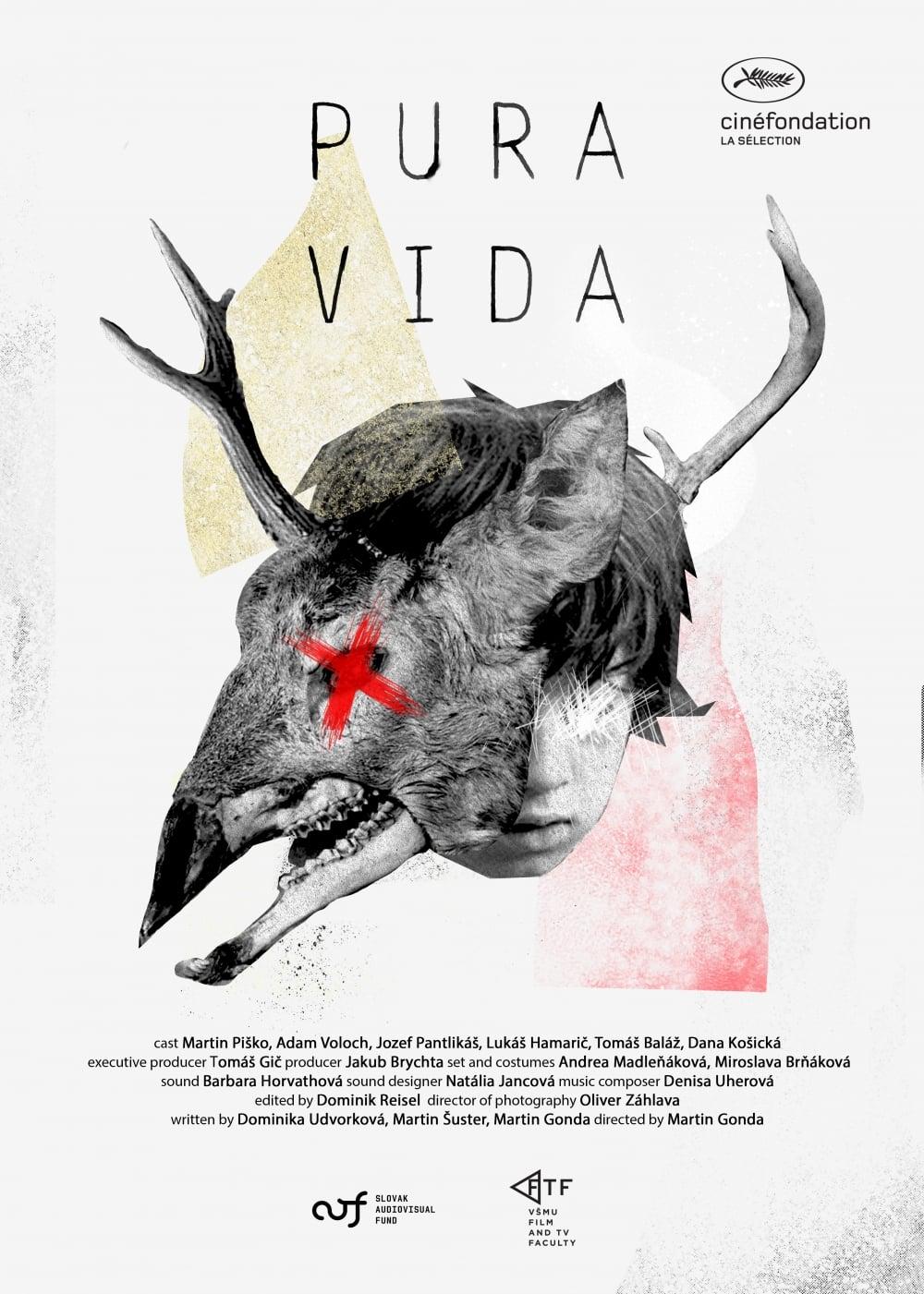 Pura Vida poster