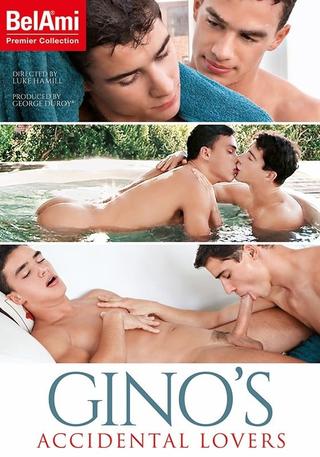 Gino's Accidental Lovers poster