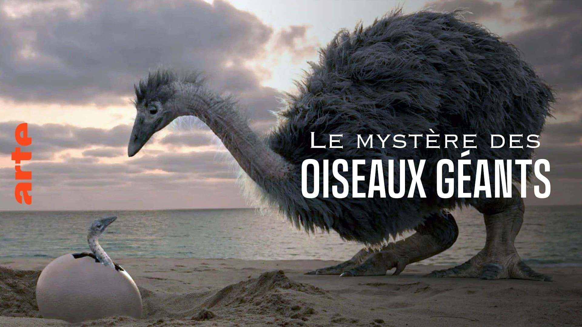 Le mystère des oiseaux géants backdrop