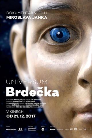 Universum Brdečka poster