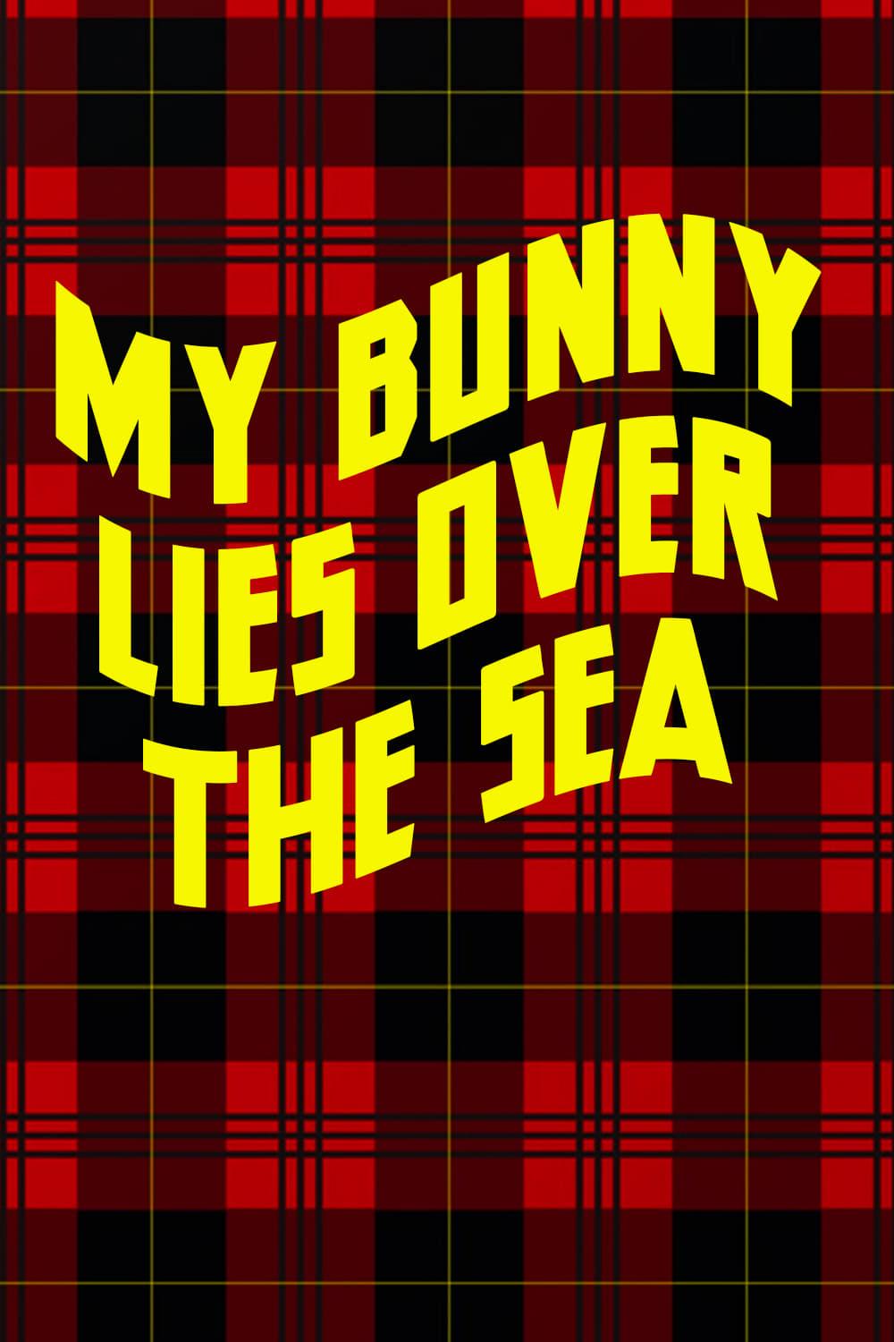 My Bunny Lies Over the Sea poster
