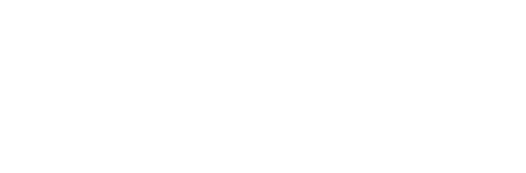 Power Book IV: Force logo