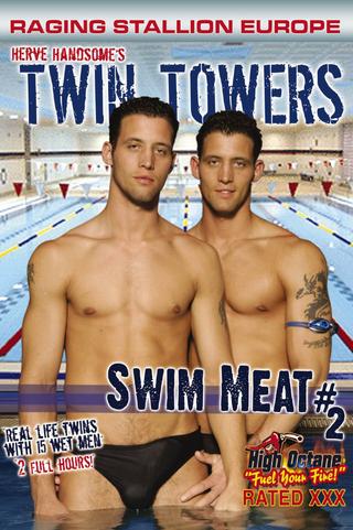Swim Meat 2: Twin Towers poster