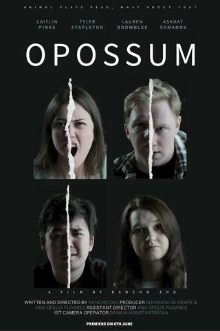 Opossum poster