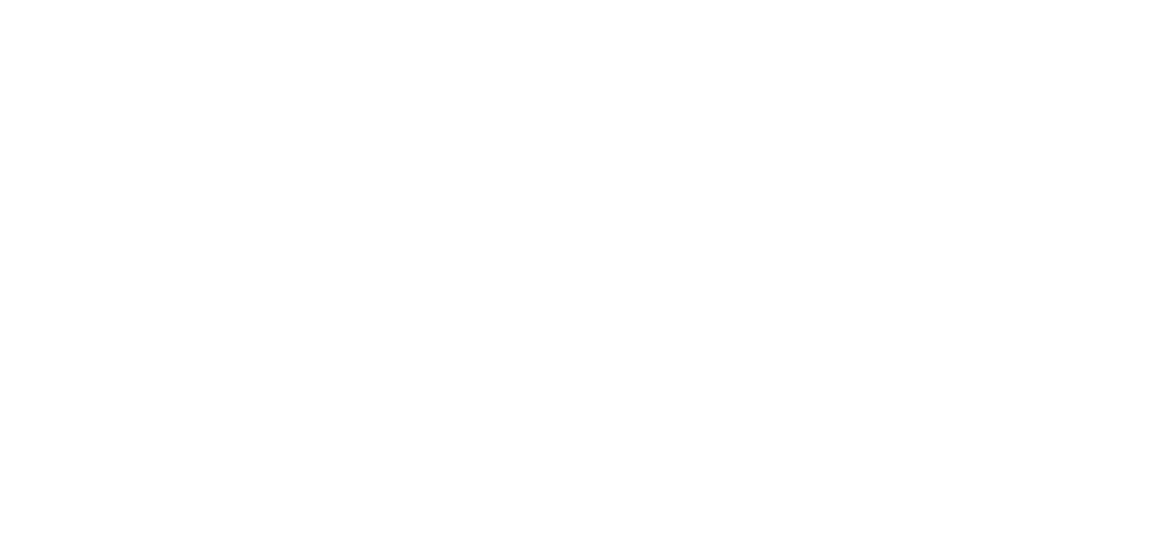 Dimension 20 Animated logo