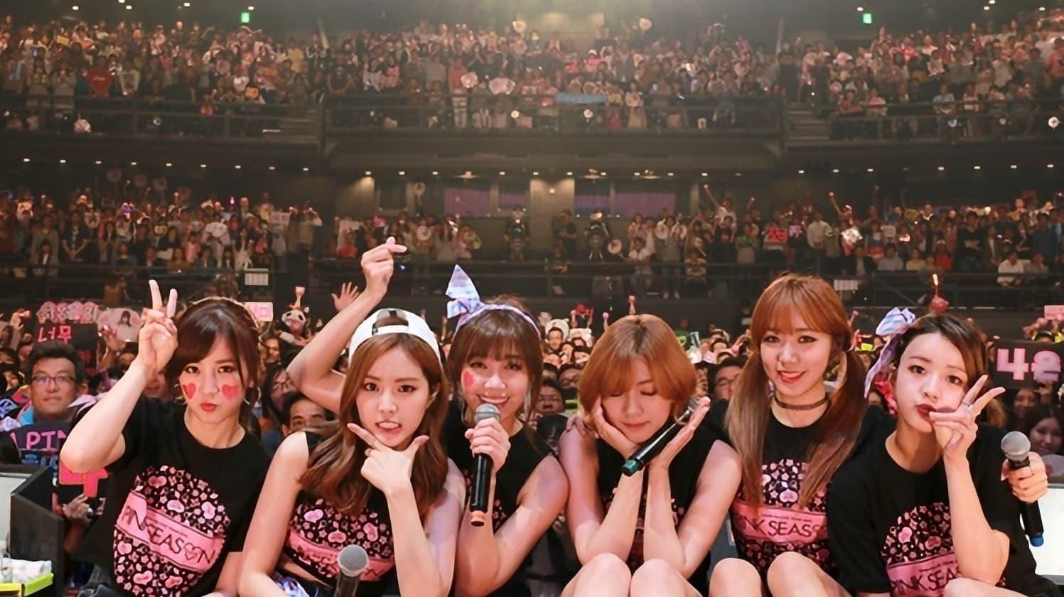 Apink 1st LIVE TOUR 2015 ~PINK SEASON~ backdrop