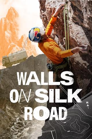 Walls on Silk Road poster