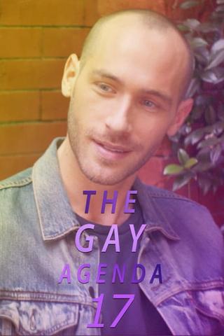 The Gay Agenda 17 poster