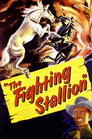 The Fighting Stallion poster