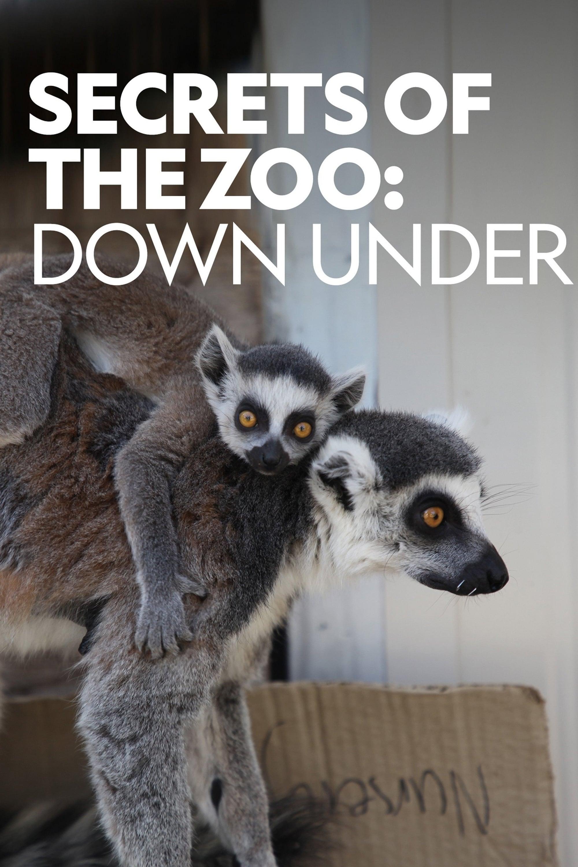 Secrets of the Zoo: Down Under poster