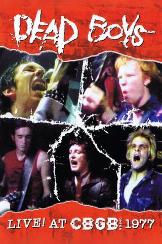 Dead Boys: Live at CBGB's 1977 poster