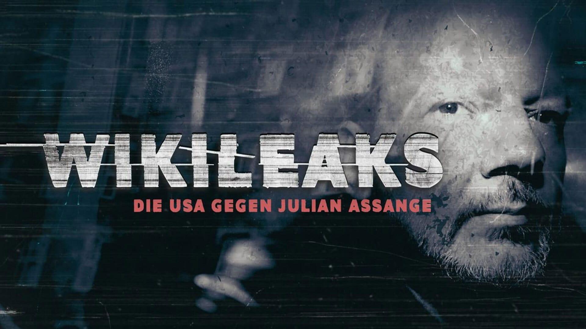 Wikileaks – USA against Julian Assange backdrop