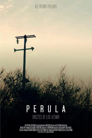 Perula poster