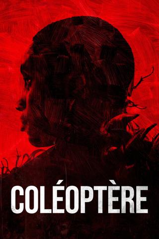 Coléoptère poster