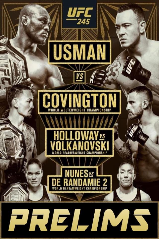 UFC 245: Usman vs. Covington poster