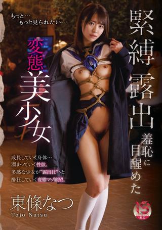 Perverted Beautiful Girl Who Awakened to the Shame of Bondage Exposure – Natsu Tojo poster