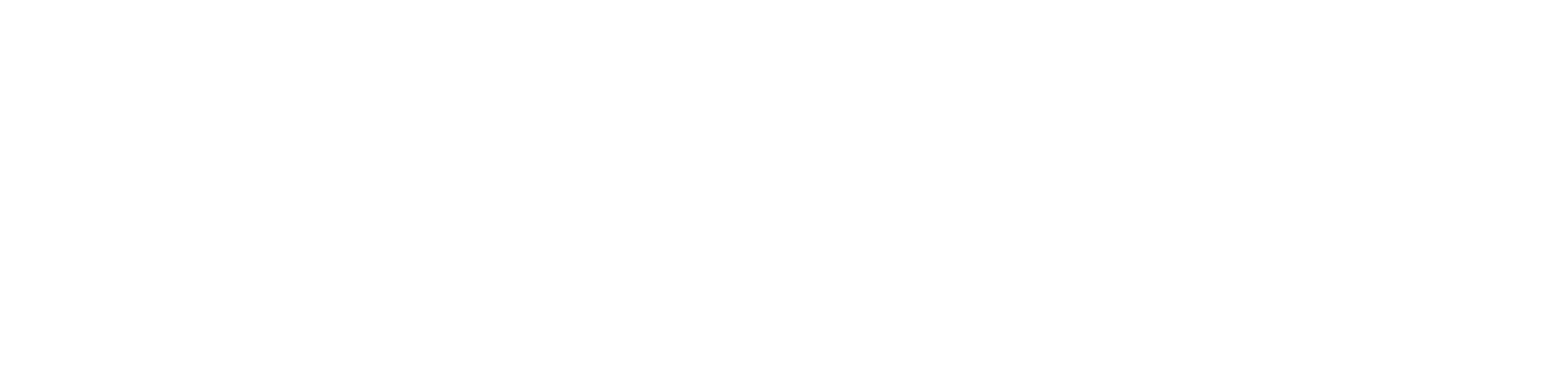 Surfside Girls logo